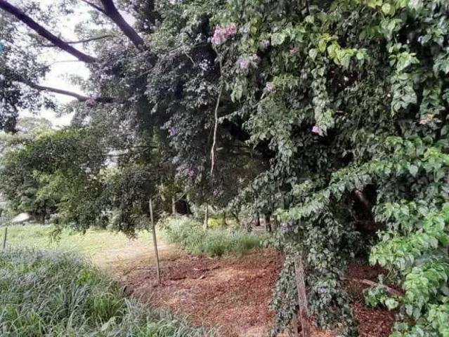 Terreno / Lote para Venda em Belo Horizonte/MG João Pinheiro