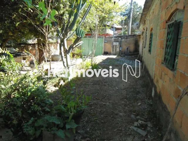 Terreno / Lote para Venda em Belo Horizonte/MG Letícia