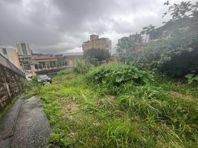 Terreno / Lote para Venda em Belo Horizonte/MG Padre Eustáquio 1 Quartos