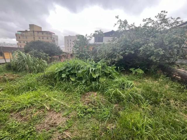 Terreno / Lote para Venda em Belo Horizonte/MG Padre Eustáquio 1 Quartos