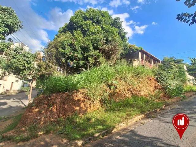 Terreno / Lote para Venda em Belo Horizonte/MG Palmeiras