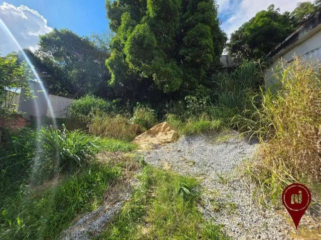 Terreno / Lote para Venda em Belo Horizonte/MG Palmeiras