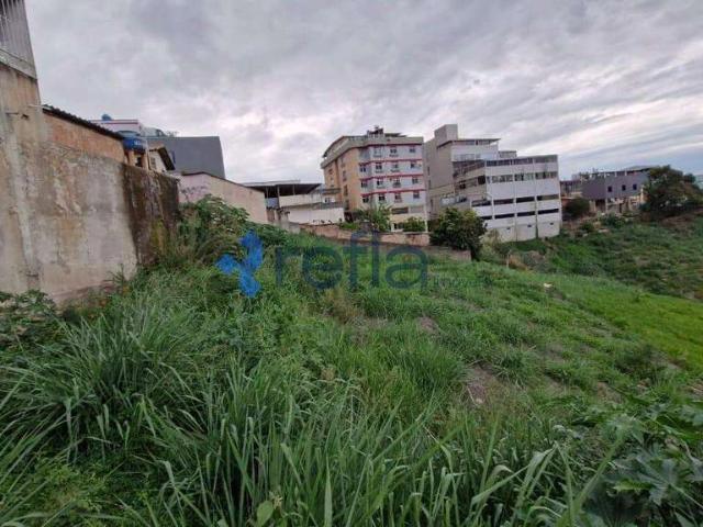 Terreno / Lote para Venda em Belo Horizonte/MG Palmeiras