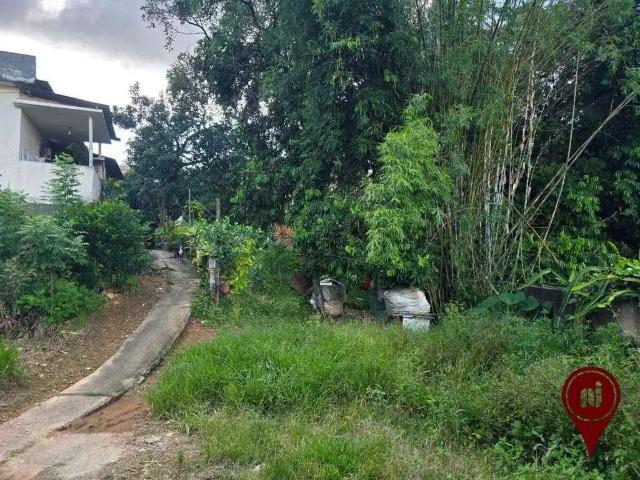 Terreno / Lote para Venda em Belo Horizonte/MG Palmeiras