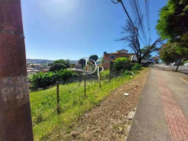 Terreno / Lote para Venda em Belo Horizonte/MG Palmeiras