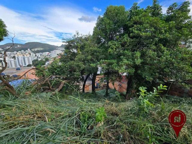 Terreno / Lote para Venda em Belo Horizonte/MG Palmeiras