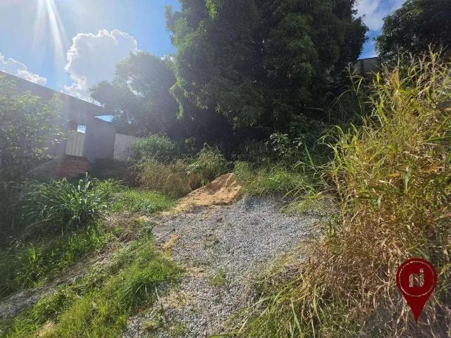 Terreno / Lote para Venda em Belo Horizonte/MG Palmeiras