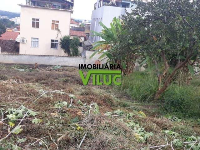 Terreno / Lote para Venda em Belo Horizonte/MG Paquetá