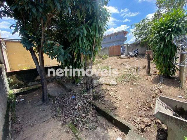 Terreno / Lote para Venda em Belo Horizonte/MG Pirajá 1 Quartos