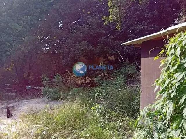 Terreno / Lote para Venda em Belo Horizonte/MG Planalto