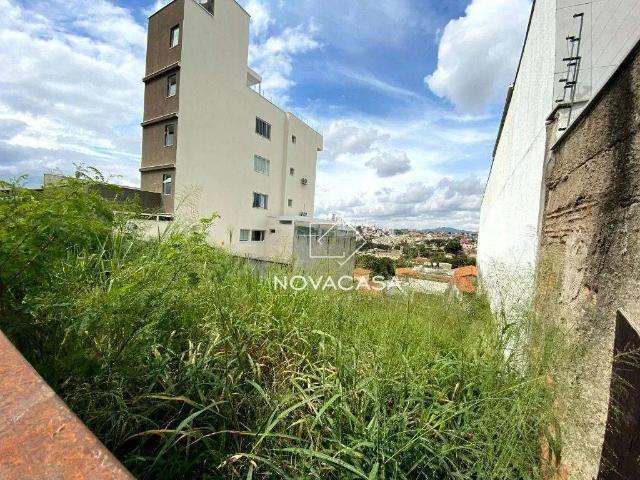 Terreno / Lote para Venda em Belo Horizonte/MG Planalto