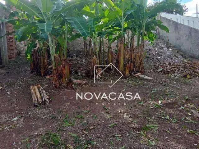 Terreno / Lote para Venda em Belo Horizonte/MG Planalto