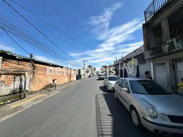 Terreno / Lote para Venda em Belo Horizonte/MG Primeiro de Maio 1 Quartos