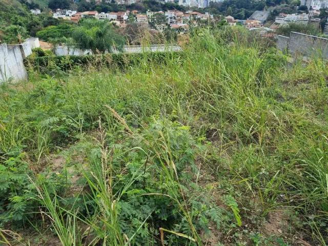 Terreno / Lote para Venda em Belo Horizonte/MG São Bento