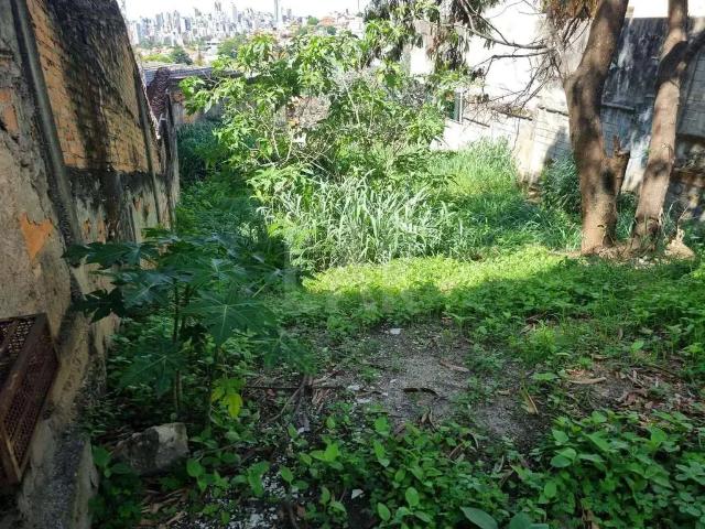Terreno / Lote para Venda em Belo Horizonte/MG São Bento