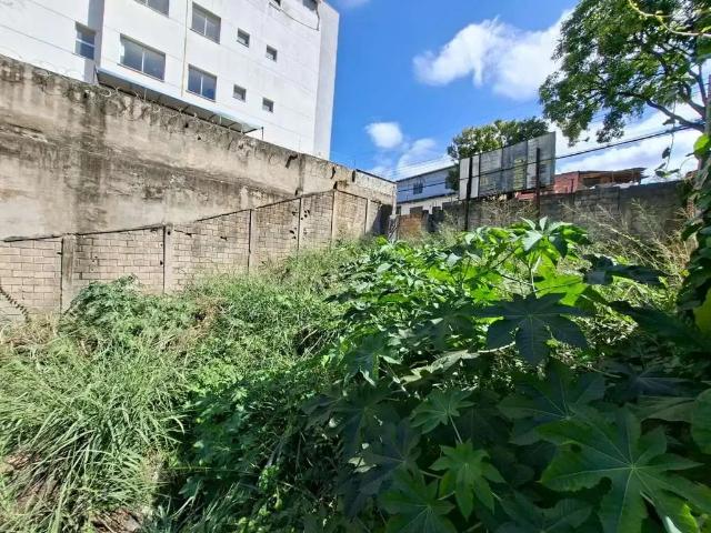 Terreno / Lote para Venda em Belo Horizonte/MG São João Batista