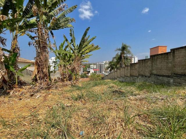 Terreno / Lote para Venda em Belo Horizonte/MG São Luiz