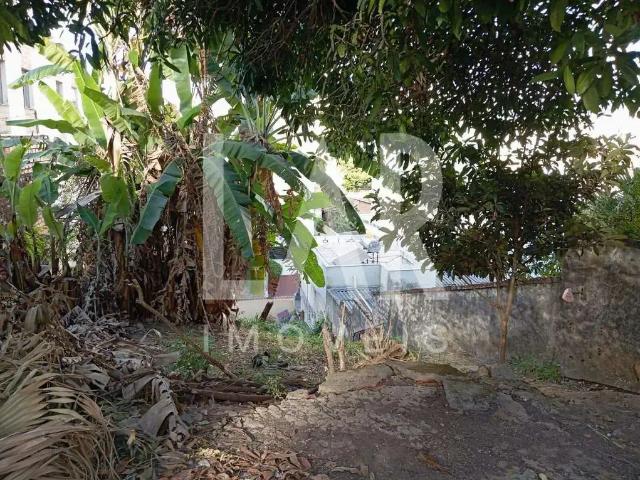 Terreno / Lote para Venda em Belo Horizonte/MG Sagrada Família