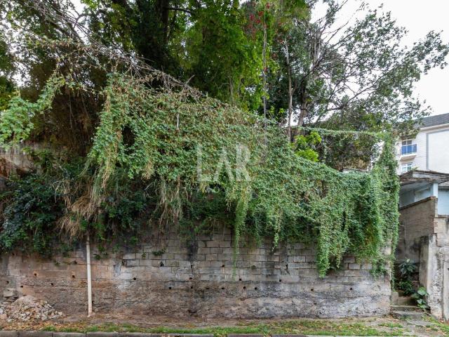 Terreno / Lote para Venda em Belo Horizonte/MG Sagrada Família