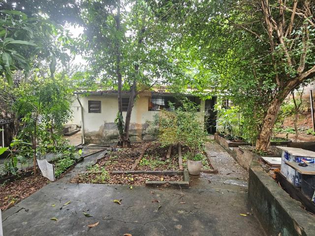 Terreno / Lote para Venda em Belo Horizonte/MG Sagrada Família 1 Quartos