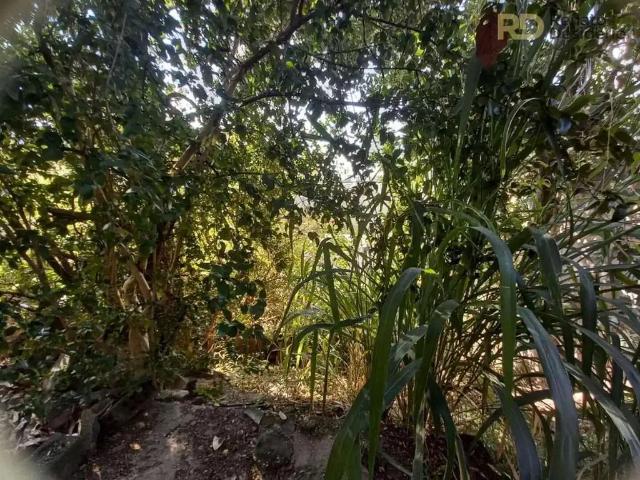Terreno / Lote para Venda em Belo Horizonte/MG Sagrada Família