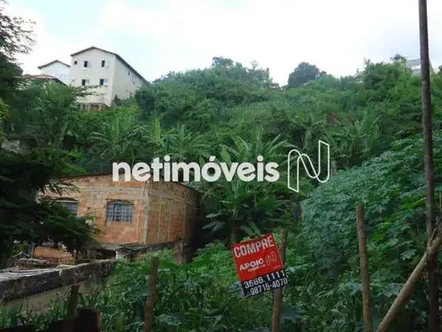 Terreno / Lote para Venda em Belo Horizonte/MG Salgado Filho