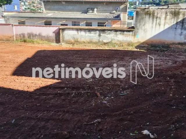 Terreno / Lote para Venda em Belo Horizonte/MG Salgado Filho