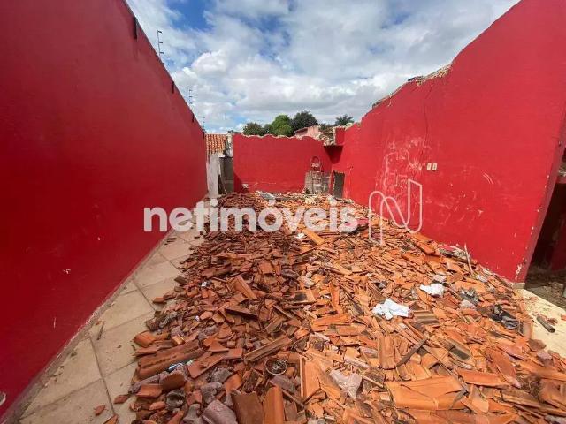 Terreno / Lote para Venda em Belo Horizonte/MG Santa Mônica