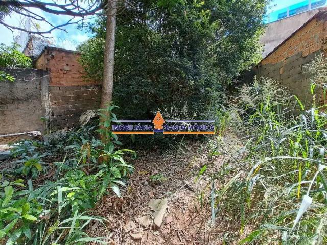 Terreno / Lote para Venda em Belo Horizonte/MG Santa Mônica