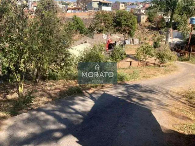 Terreno / Lote para Venda em Belo Horizonte/MG Santa Mônica