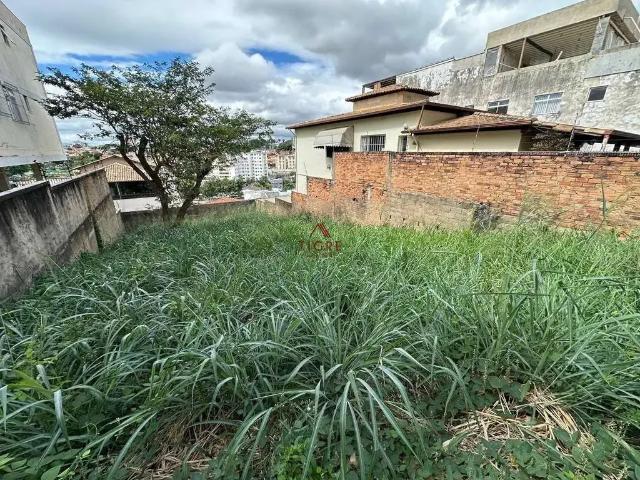 Terreno / Lote para Venda em Belo Horizonte/MG Santa Amélia