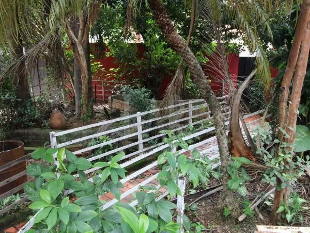 Terreno / Lote para Venda em Belo Horizonte/MG Santa Amélia