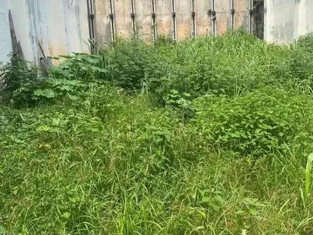 Terreno / Lote para Venda em Belo Horizonte/MG Santa Branca
