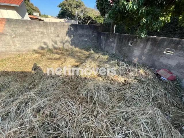 Terreno / Lote para Venda em Belo Horizonte/MG Santa Cruz