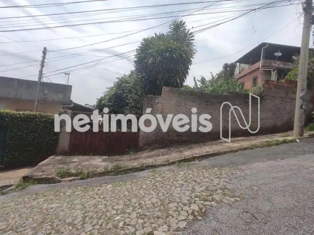 Terreno / Lote para Venda em Belo Horizonte/MG Santa Cruz
