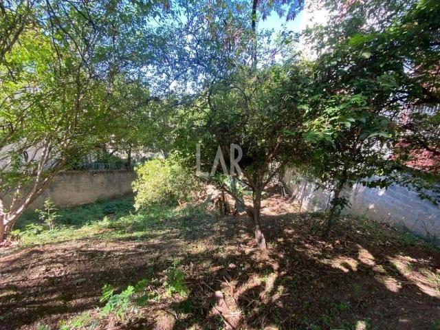 Terreno / Lote para Venda em Belo Horizonte/MG Santa Lúcia