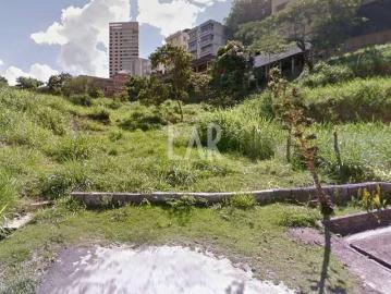 Terreno / Lote para Venda em Belo Horizonte/MG Santa Lúcia