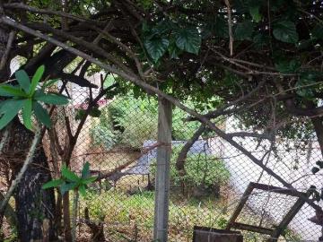 Terreno / Lote para Venda em Belo Horizonte/MG Santa Lúcia