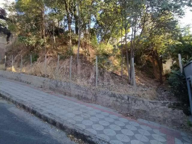 Terreno / Lote para Venda em Belo Horizonte/MG Santa Lúcia