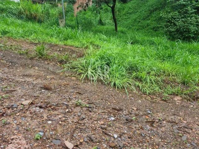 Terreno / Lote para Venda em Belo Horizonte/MG Santa Lúcia