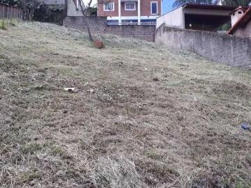Terreno / Lote para Venda em Belo Horizonte/MG Santa Lúcia
