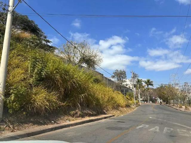 Terreno / Lote para Venda em Belo Horizonte/MG Santa Lúcia