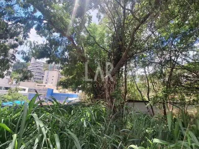 Terreno / Lote para Venda em Belo Horizonte/MG Santa Lúcia