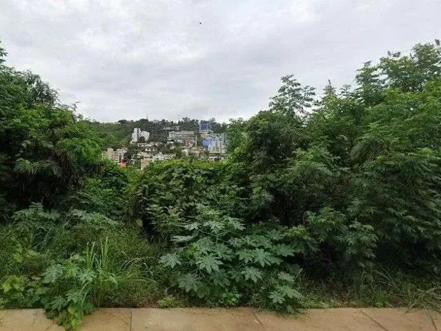 Terreno / Lote para Venda em Belo Horizonte/MG Santa Lúcia