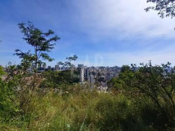 Terreno / Lote para Venda em Belo Horizonte/MG Santa Lúcia