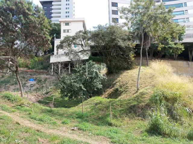 Terreno / Lote para Venda em Belo Horizonte/MG Santa Lúcia
