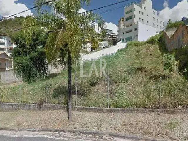 Terreno / Lote para Venda em Belo Horizonte/MG Santa Lúcia