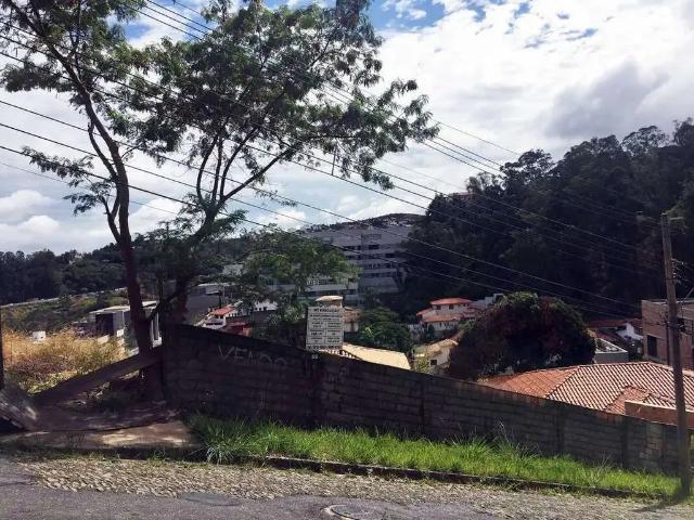 Terreno / Lote para Venda em Belo Horizonte/MG Santa Lúcia