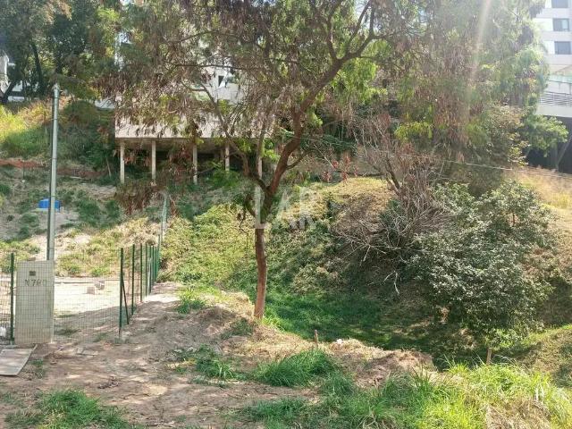 Terreno / Lote para Venda em Belo Horizonte/MG Santa Lúcia