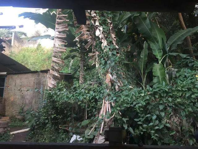 Terreno / Lote para Venda em Belo Horizonte/MG Santa Lúcia